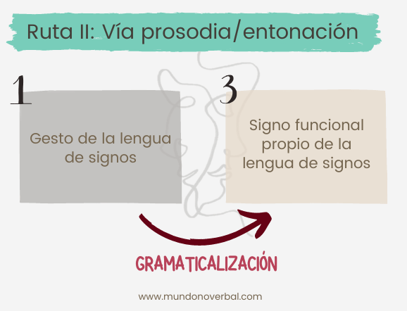 La imagen muestra las tres fases de la Ruta II de la Teoría de Wilcox, compuesta únicamente por dos fases. En primer lugar, hay un gesto que es propio de la comunidad sorda y de su lengua de signos. Este gesto sufre un proceso de gramaticalización y se convierte en un gesto funcional propio de la estructura gramatical de la lengua de signos, sin pasar por un estadio intermedio de lexicalización, como sí ocurría en la Ruta I.
