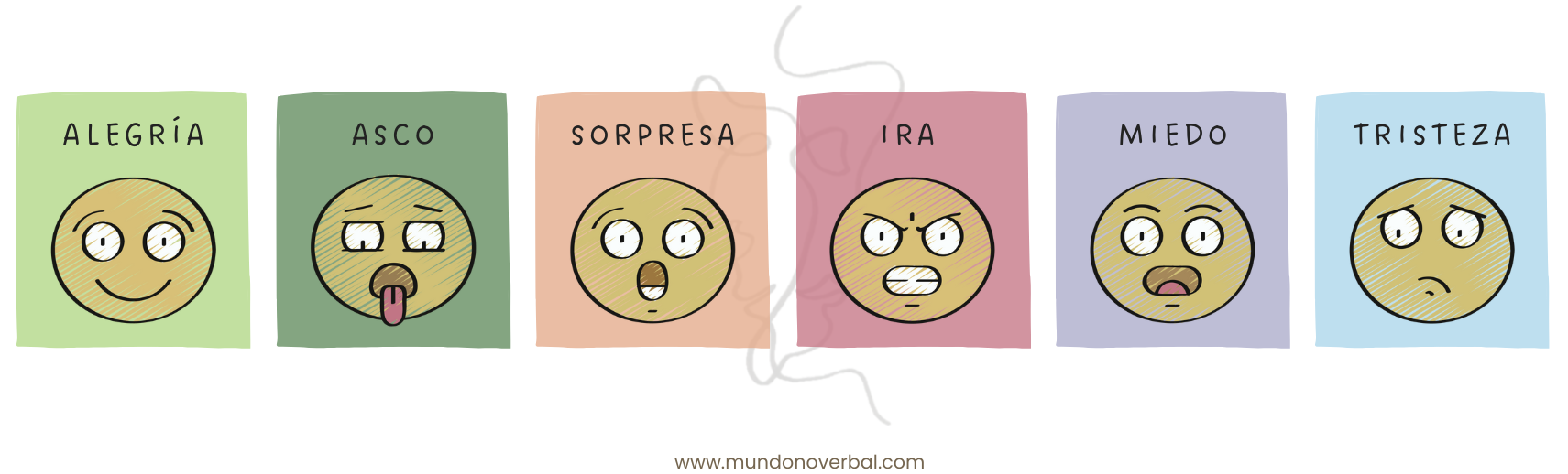 La imagen muestra las 6 emociones básicas, representadas mediante emojis. Las emociones se clasifican de izquierda a derecha de más fácilmente reconocida en el estudio de investigación hasta la más complicada de reconocer. 
De más fácil a más difícil tenemos: alegría, asco, sorpresa, ira, miedo y tristeza.