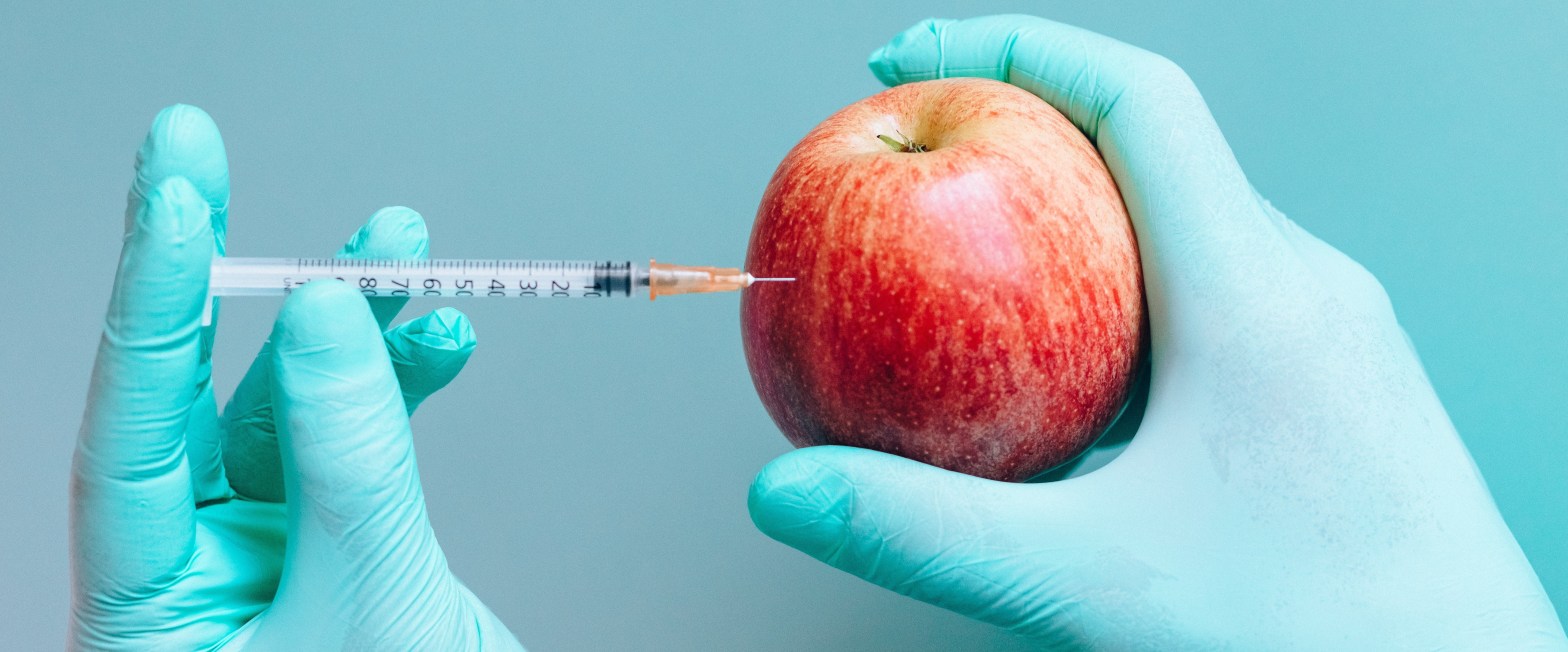 En la imagen se ven dos manos con guantes quirúrgicos. La mano derecha sujeta una manzana roja, mientras la mano izquierda, inocula una sustancia en la manzana con una jeringuilla.