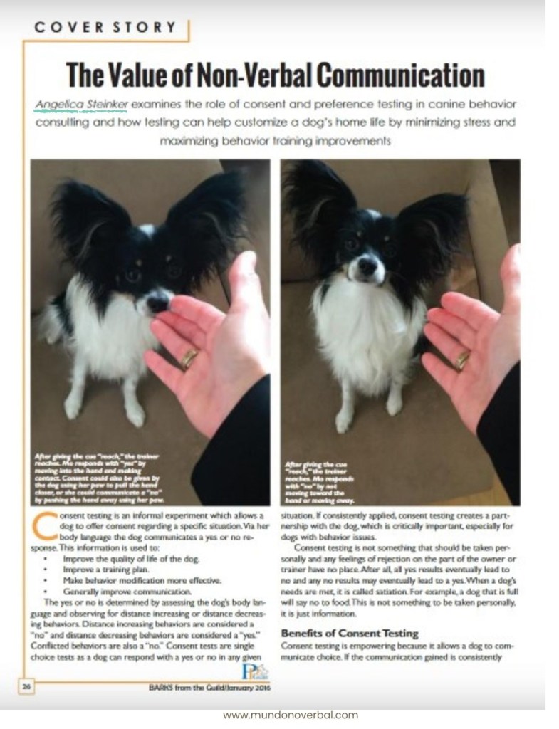 En la imagen vemos un artículo divulgativo, titulado "El valor de la comunicación no verbal". Justo debajo del título hay una pequeña entrada en la que se nos presenta a la autora, Angelica Steinker, sin embargo no hay ninguna información relativa a su afiliación ni ningún correo electrónico de contacto.